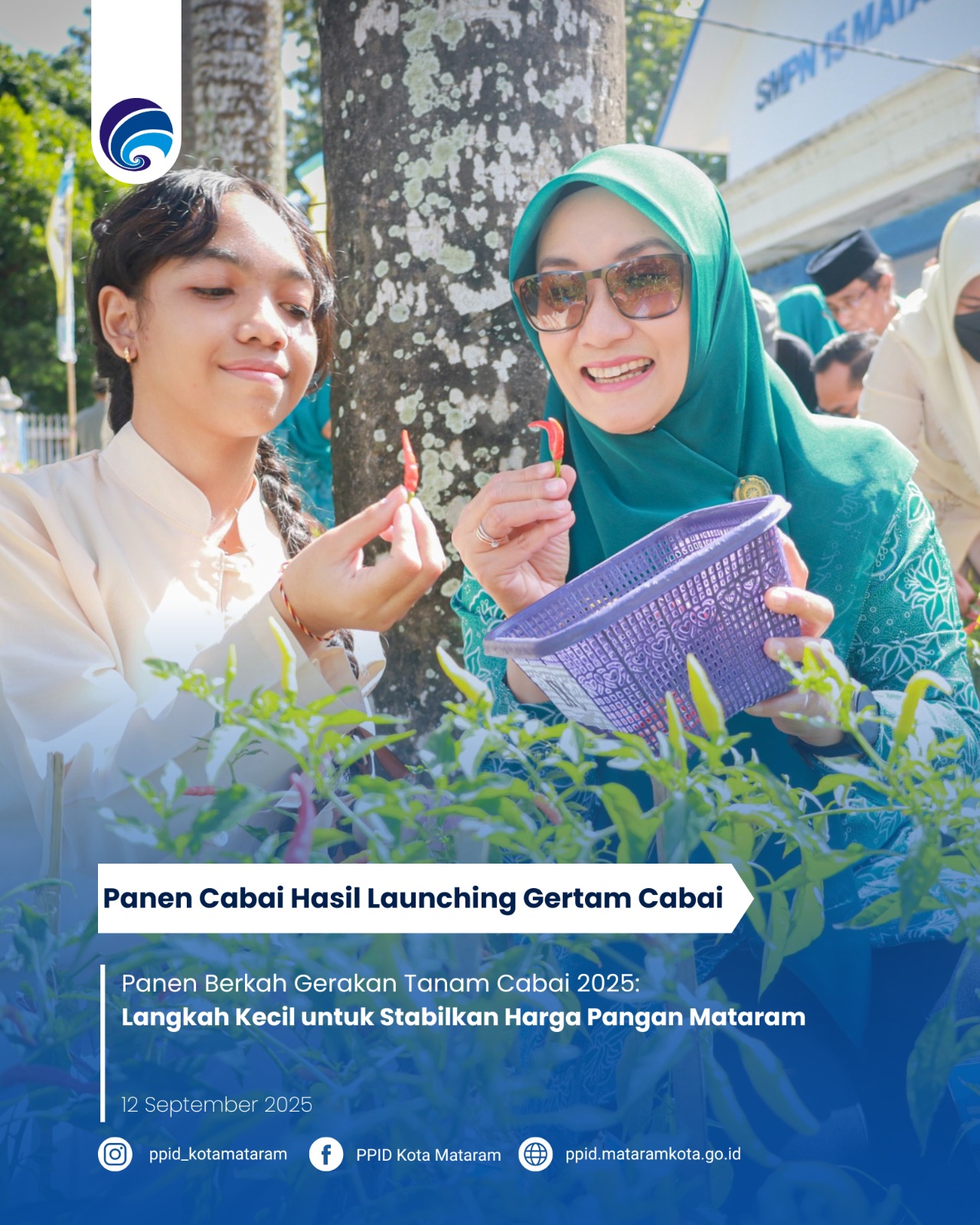 Panen Berkah Gerakan Tanam Cabai 2025: Langkah Kecil untuk Stabilkan Harga Pangan Mataram